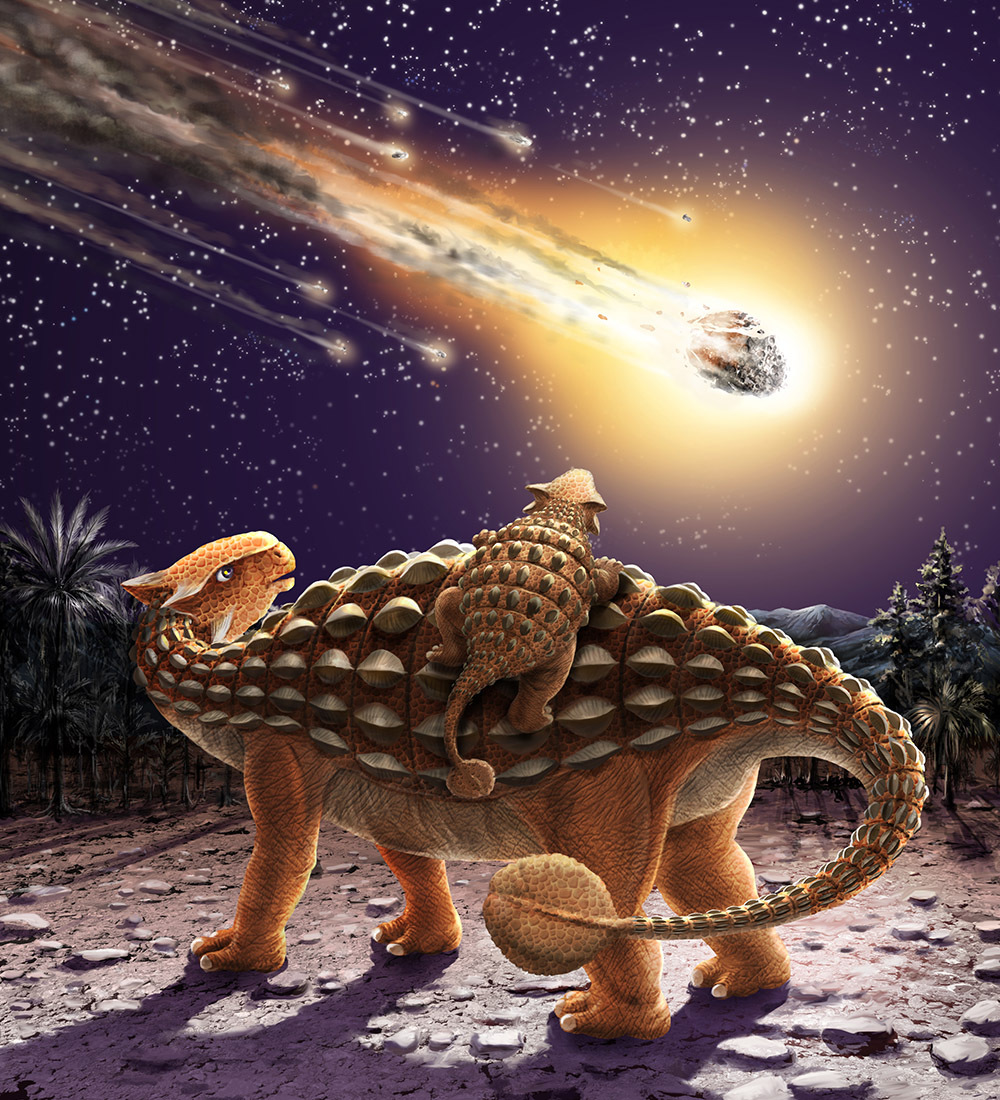 アンキロサウルス　Ankylosaurus