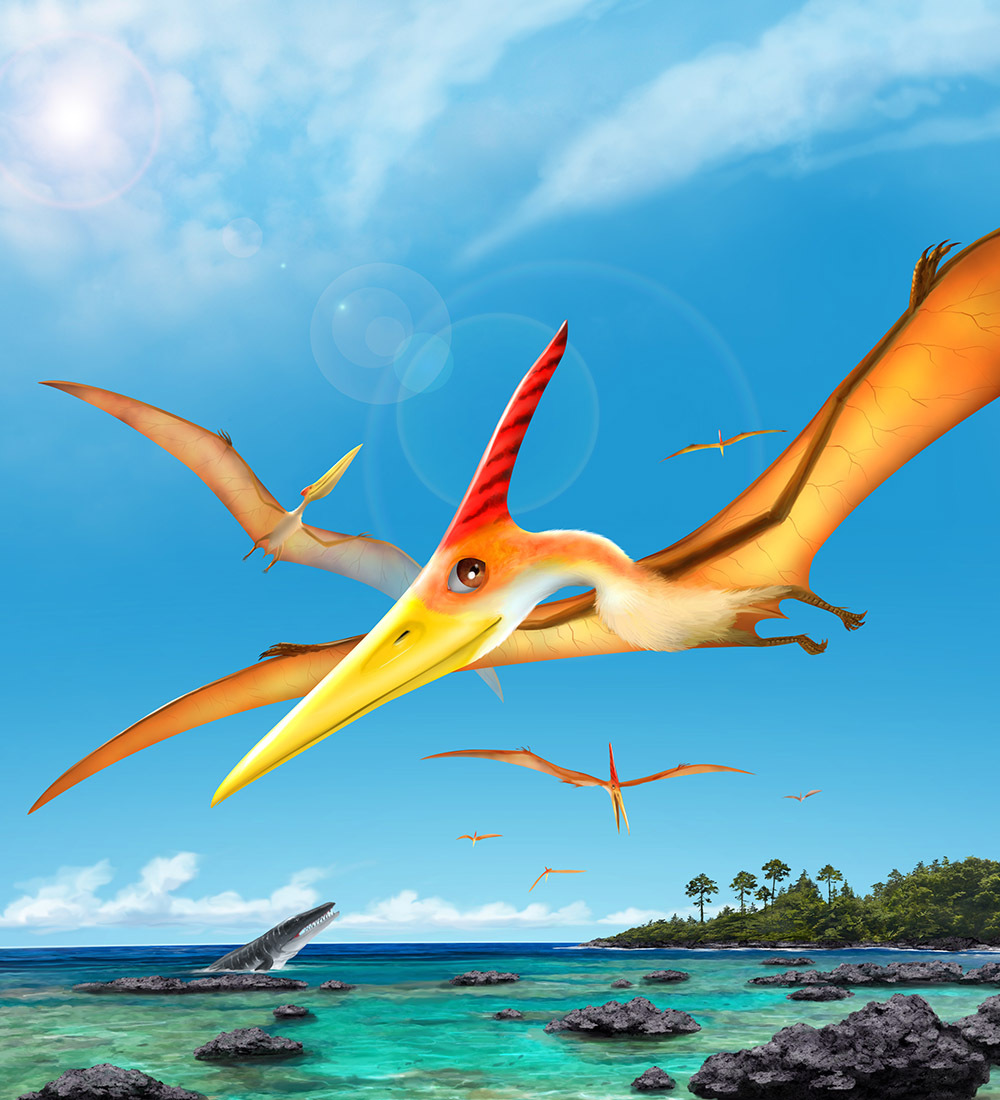プテラノドン　Pteranodon
